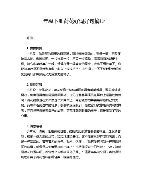 三年级下册荷花好词好句摘抄