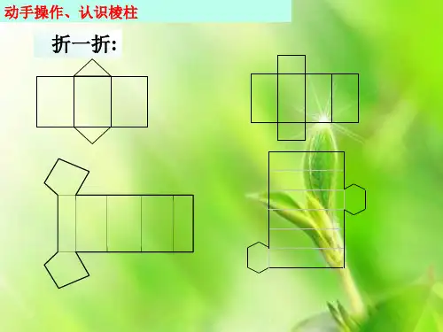 展开与折叠PPT教学课件