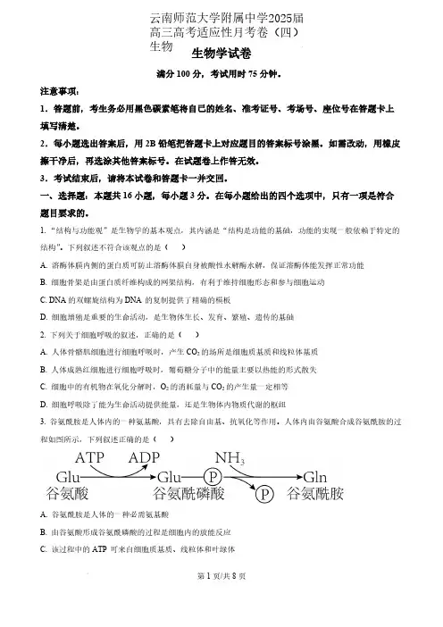 云南师范大学附属中学2025届高三高考适应性月考卷(四)生物含答案