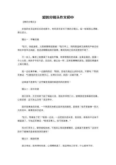 爱的分镜头作文初中