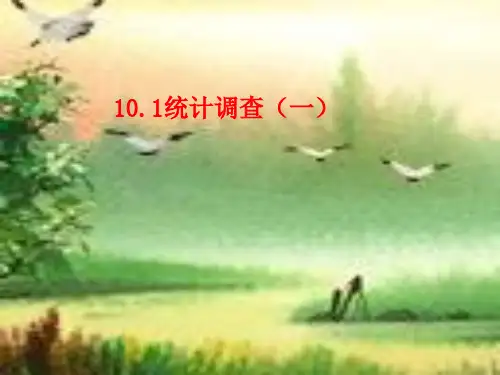 人教版七年级数学下册第十章《101 统计调查》公开课 课件(16张)